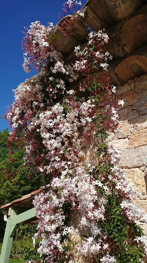 Pensionat Home Sweet Aum Tourrettes-sur-Loup
