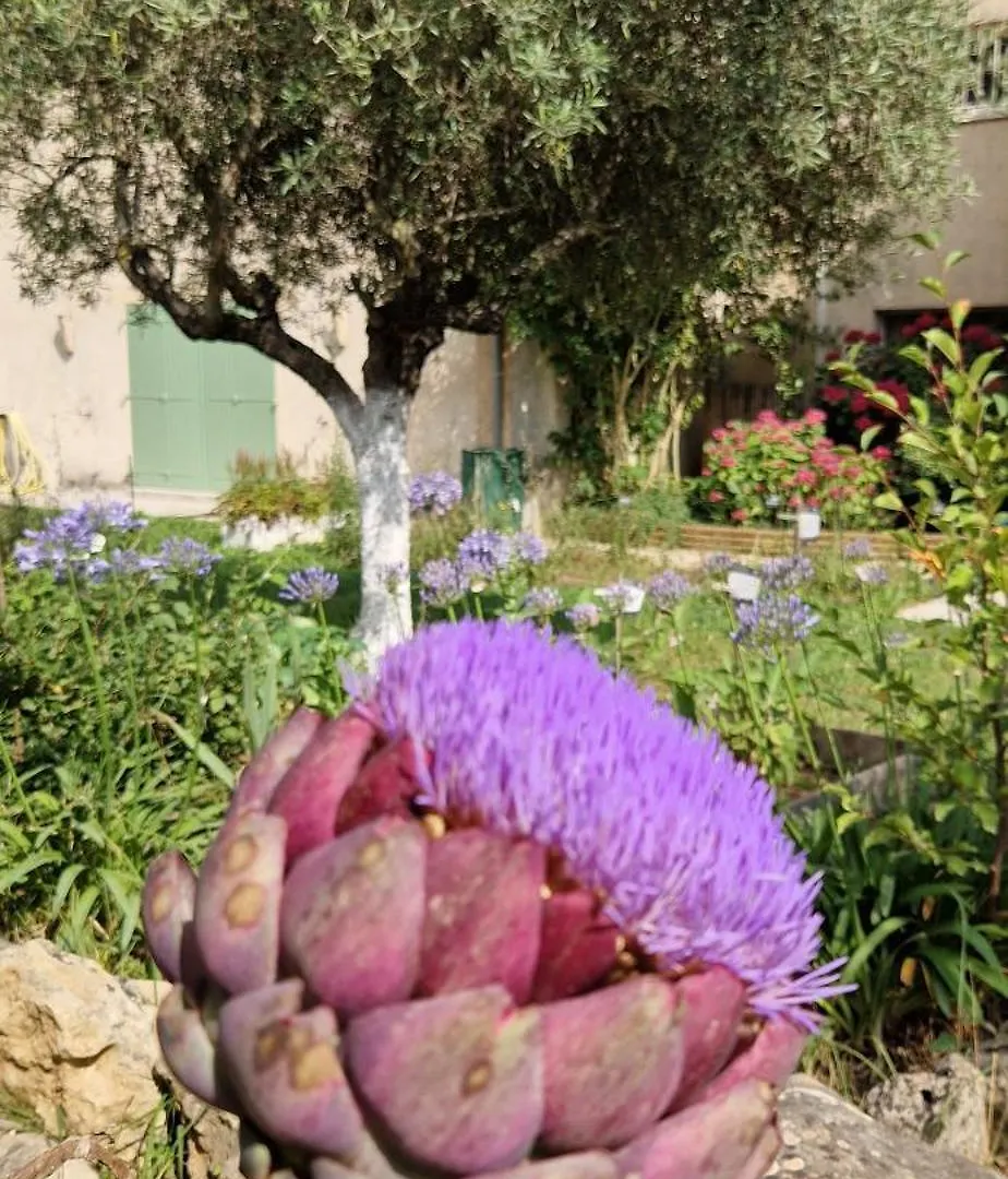 Home Sweet Aum Tourrettes-sur-Loup Pensionat